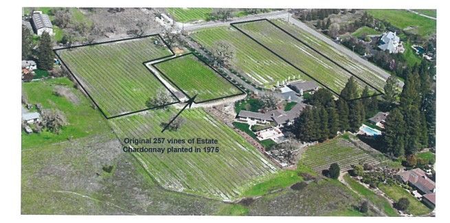Aerial view of a vineyard with fields and a house, labeled
