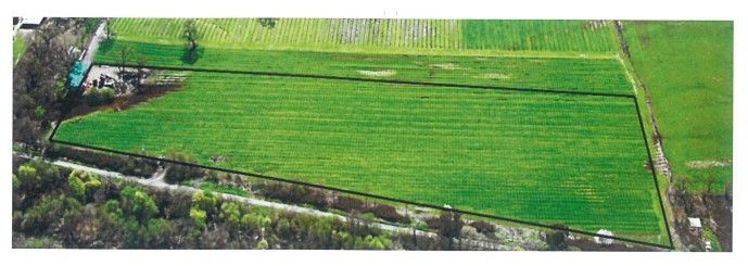 Aerial view of farm fields with varying shades of green, with black lines delineating sections.