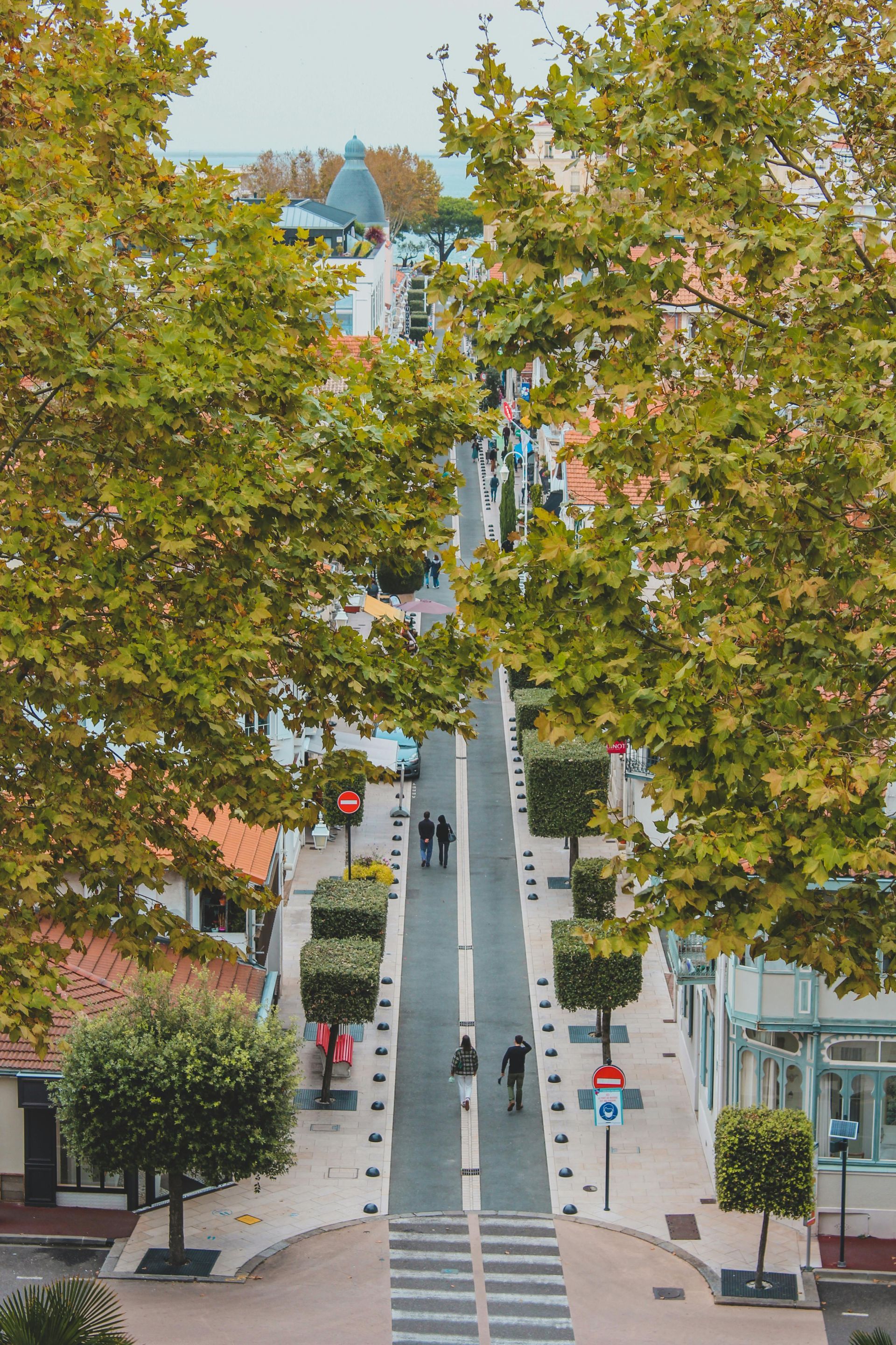 Street lined with trees, leading to a distant building. People walk along the road.