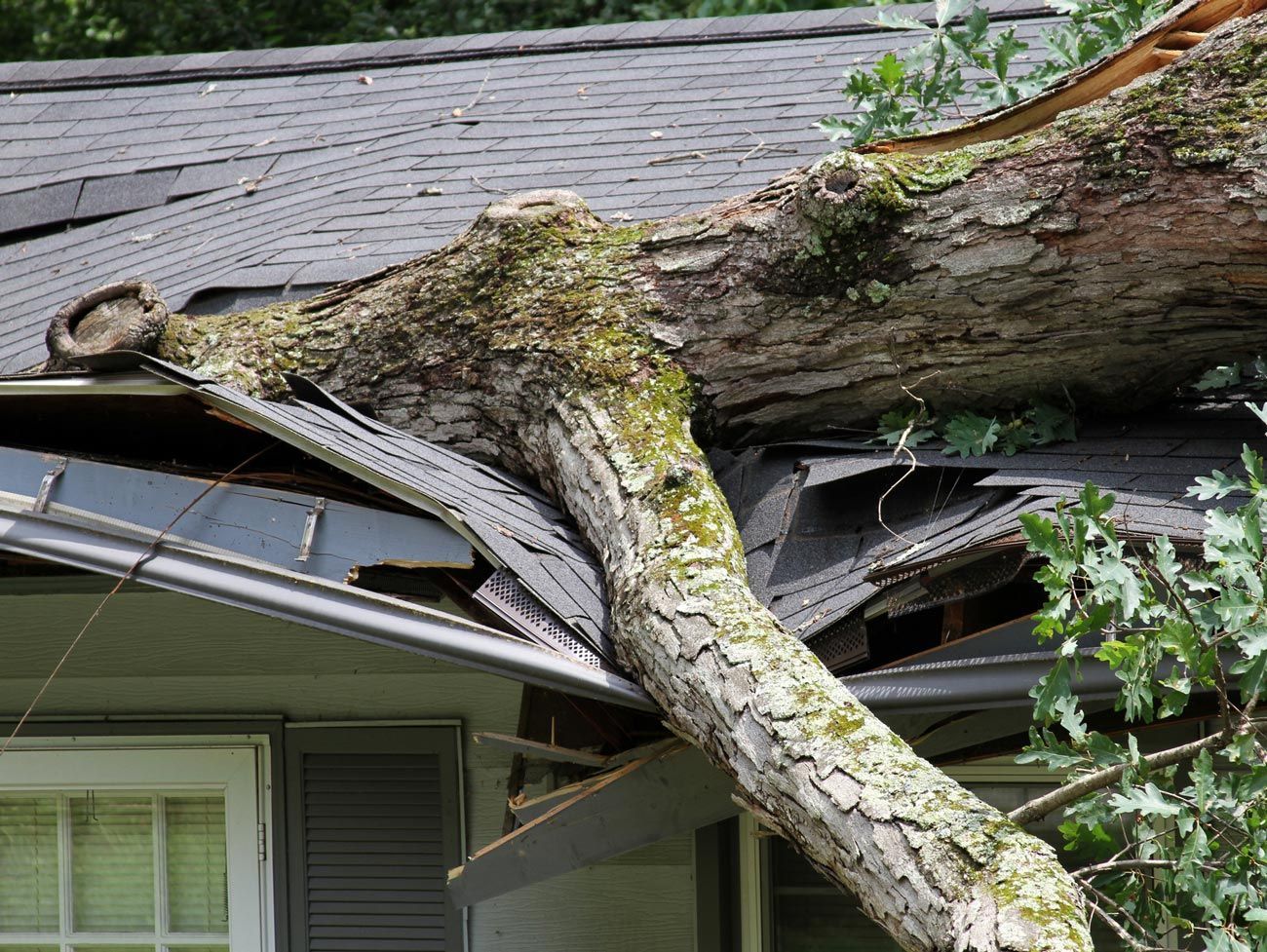Tree Fall On Roof — Wisconsin Rapids, WI — Link's Contracting Inc.