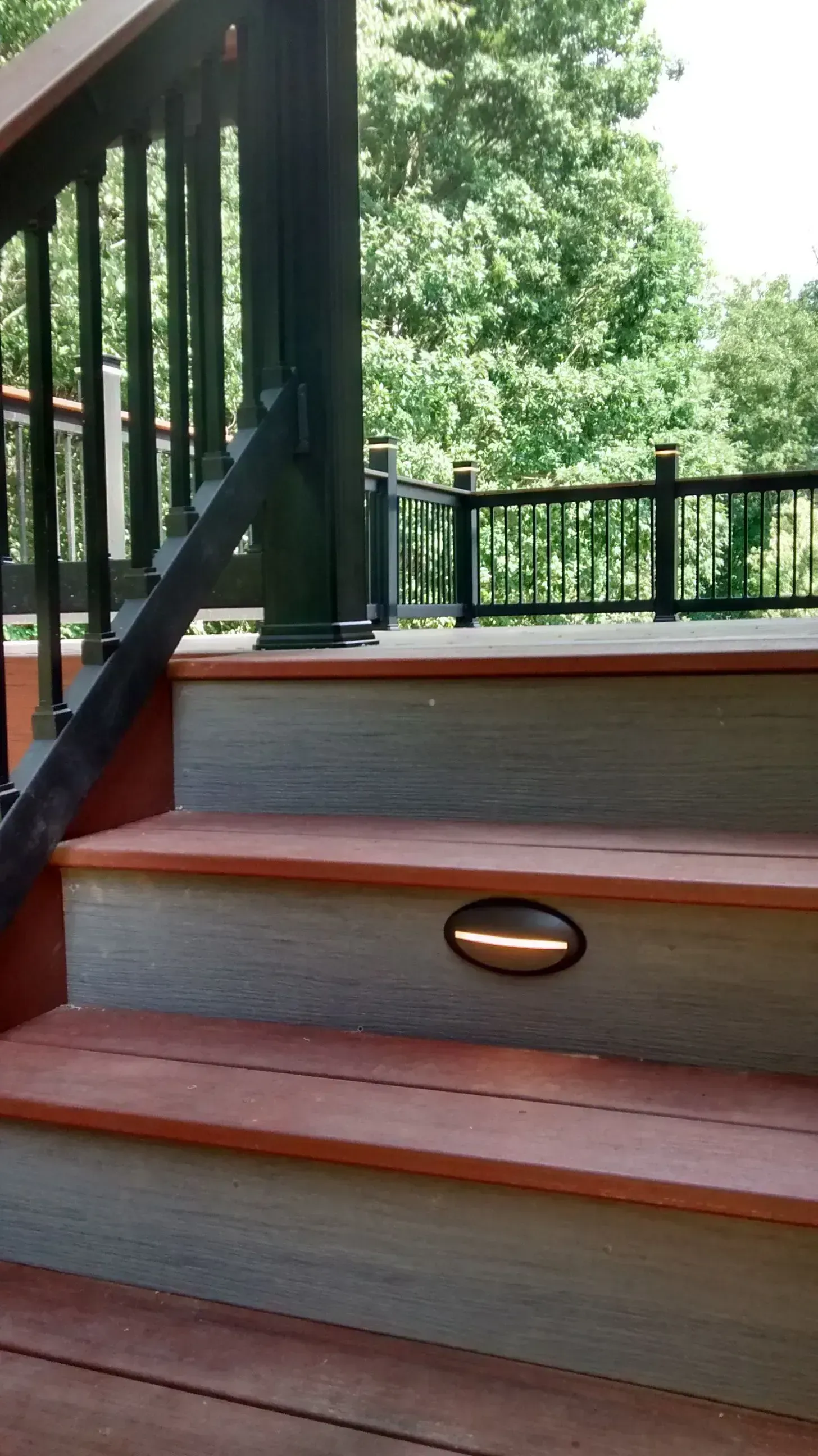 Wooden porch steps with a black railing, viewed from below beside trees and greenery.