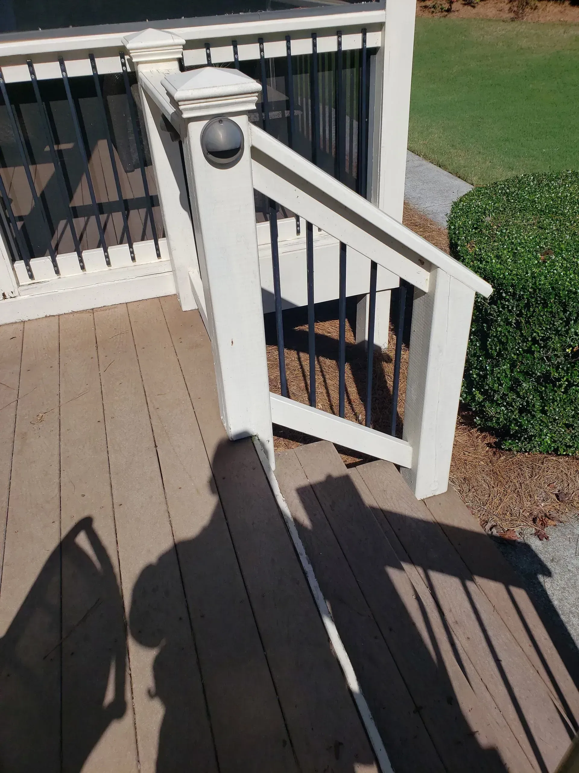 White deck gate with black railings and steps leading down to a lawn and shrubs.