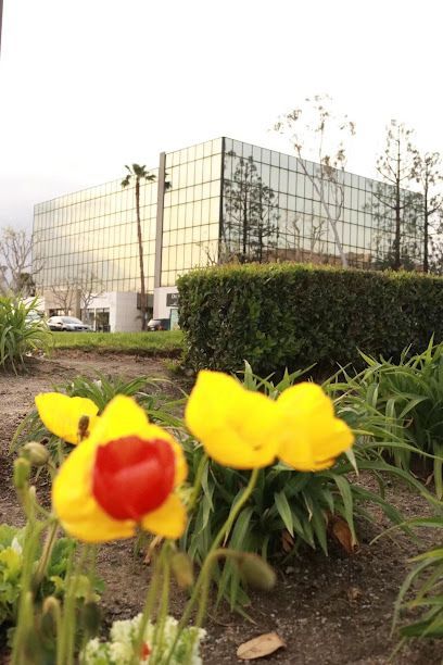 A yellow flower with a red center is in front of a building