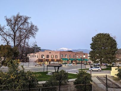 A view of a city street with a snowy mountain in the background.