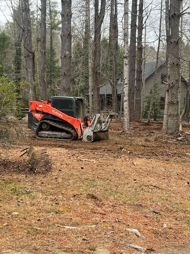 Orange skid steer in a wooded yard, pushing leaves near a cabin.