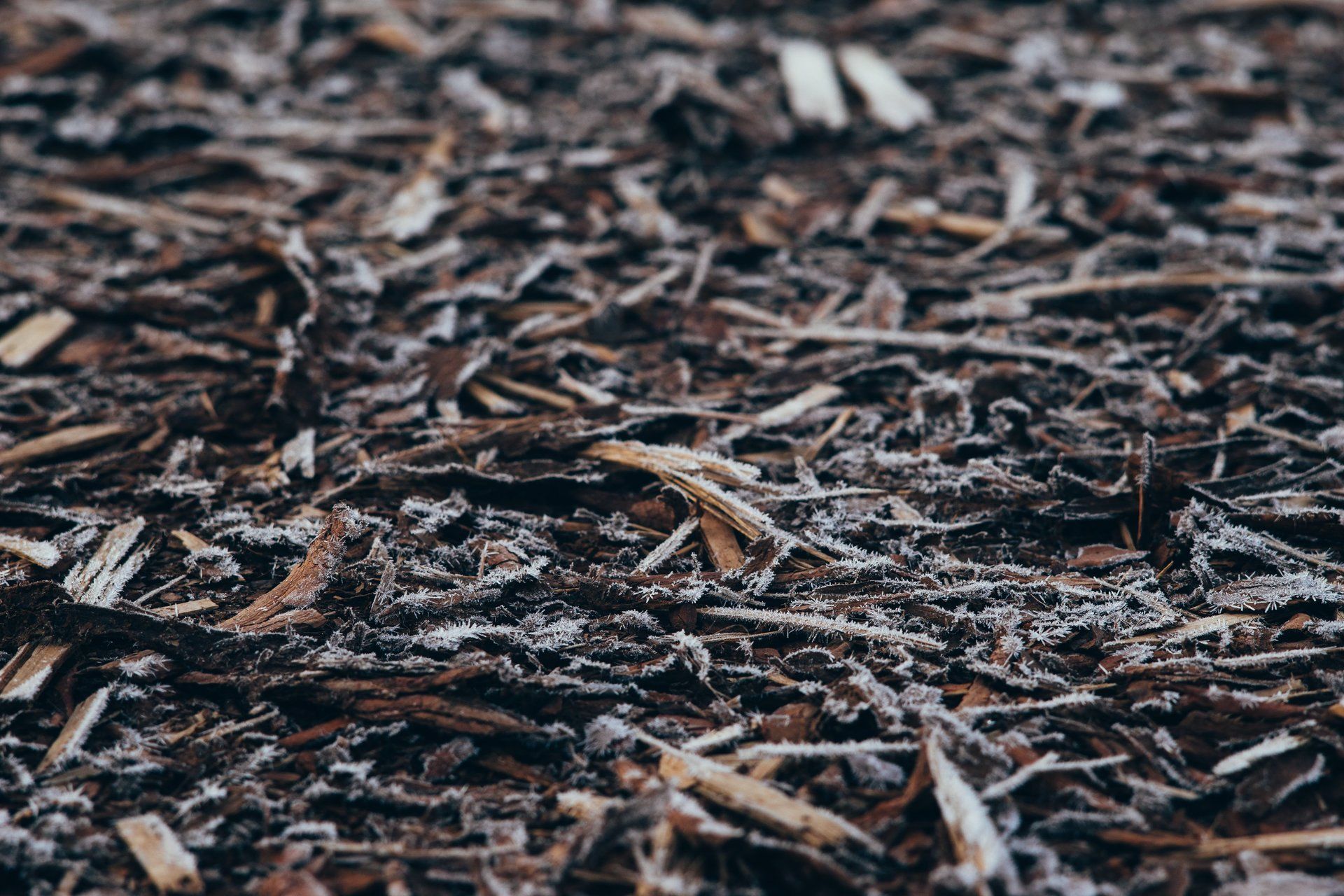 Mulch Supplier Buffalo, NY Buffalo & Orchard Park Topsoil