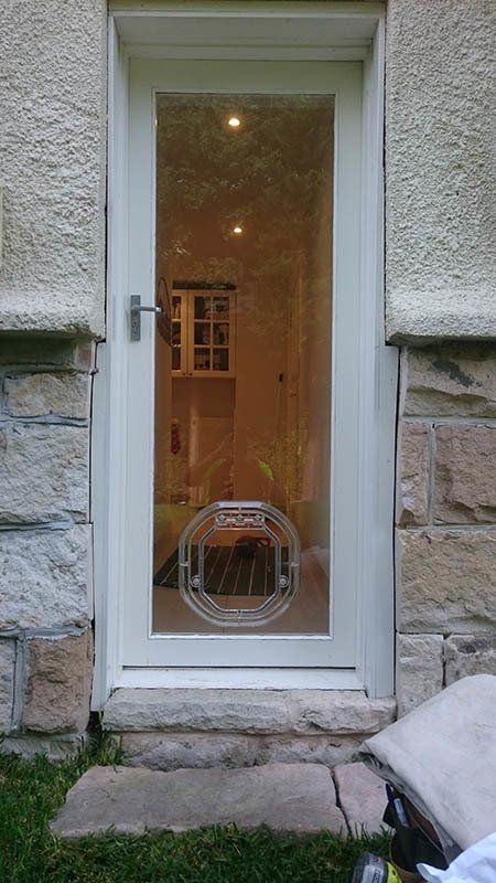 white door with pet door