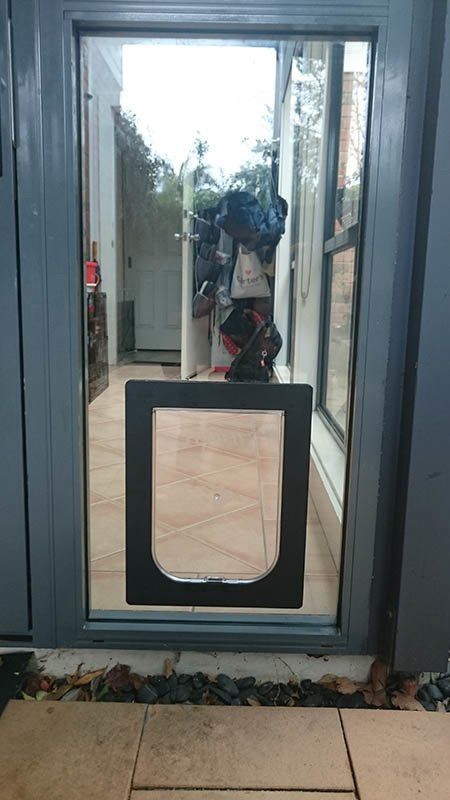 large class pet door