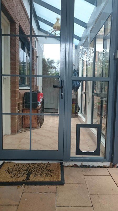 outdoor pet door