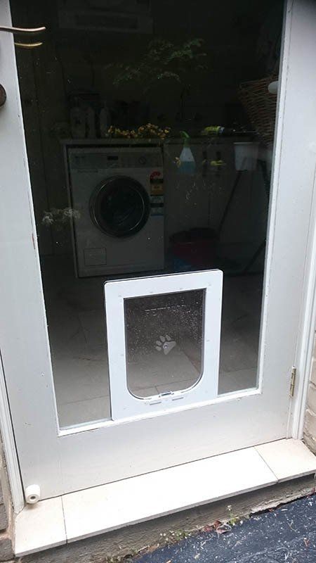 small dog door