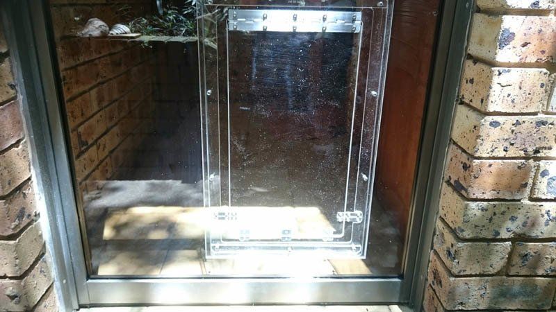 large clear pet door