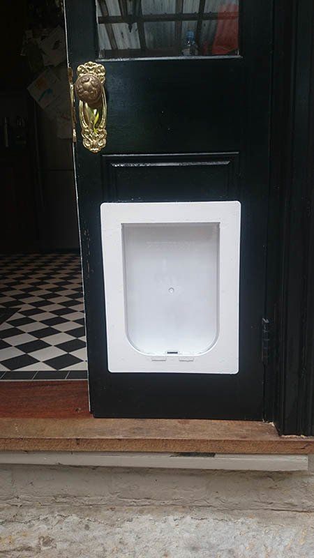 white pet door