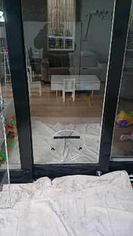 pet door in glass