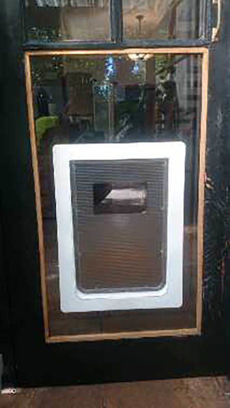 large pet door