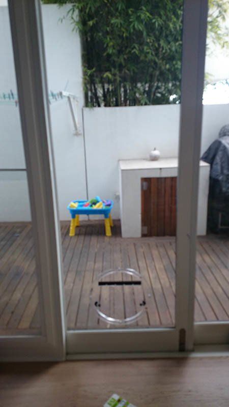 small glass pet door