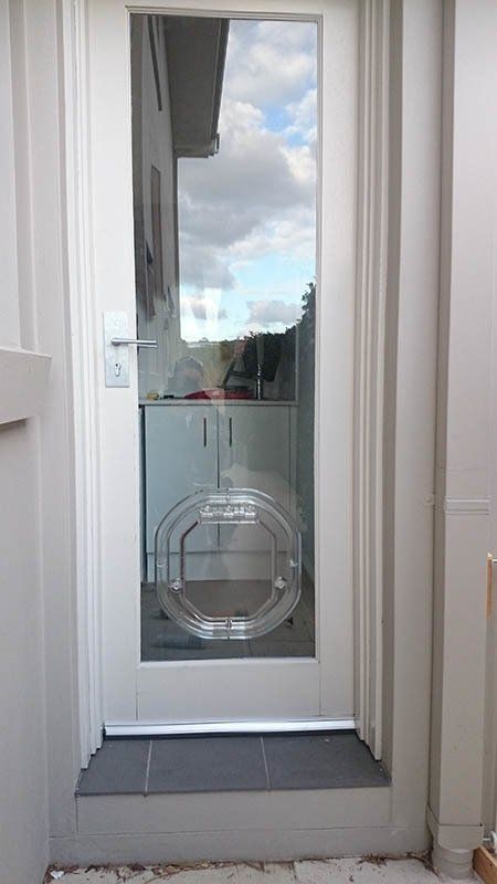 pet door in glass door
