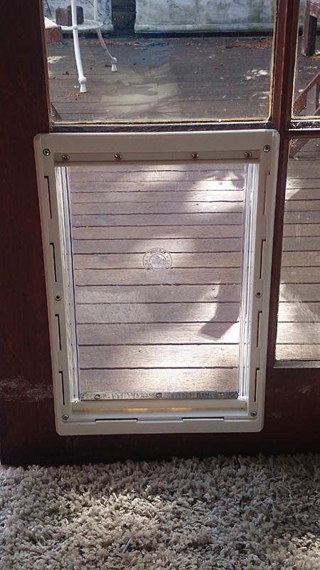 large pet door by window
