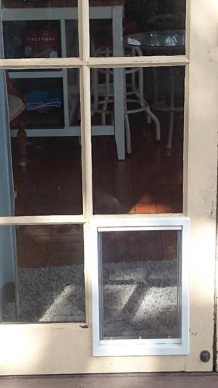 pet door in window
