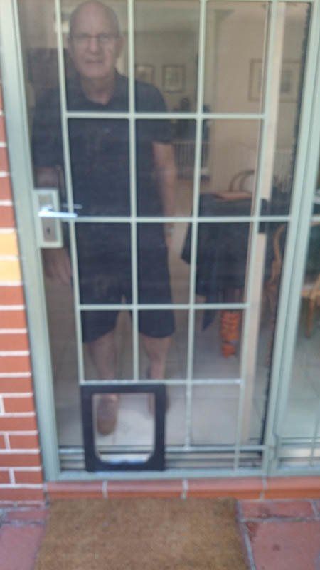 small pet door in door