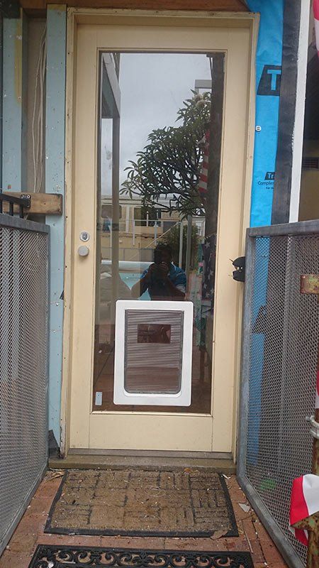 pet door in glass door