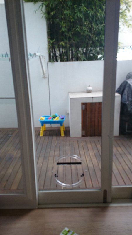 cat door in glass