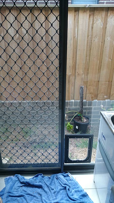 pet door in laundry room