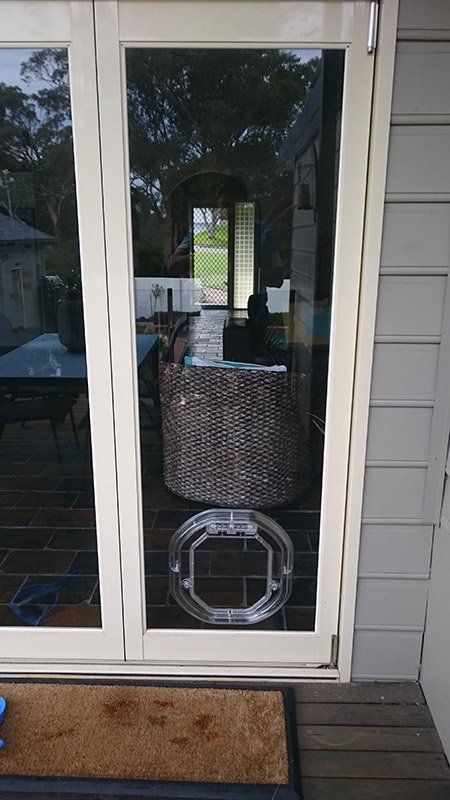 glass cat door
