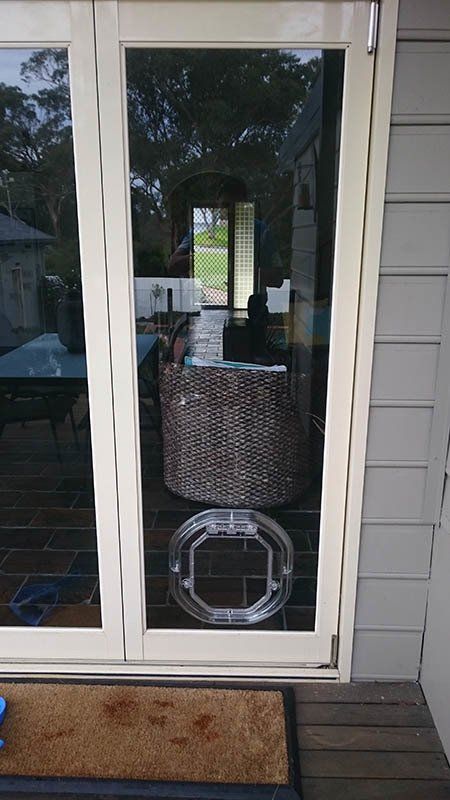 pet door in glass