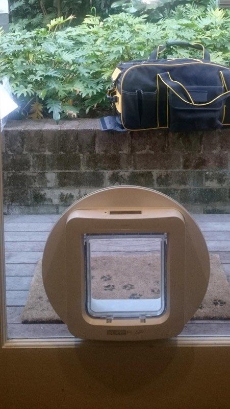 cat flap