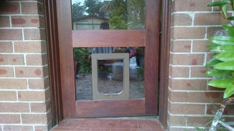 pet door in brown glass door