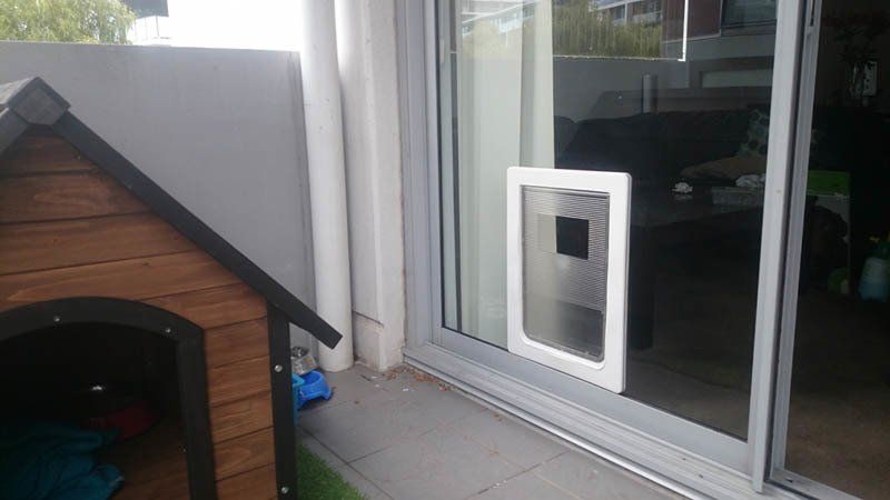 dog door by dog house