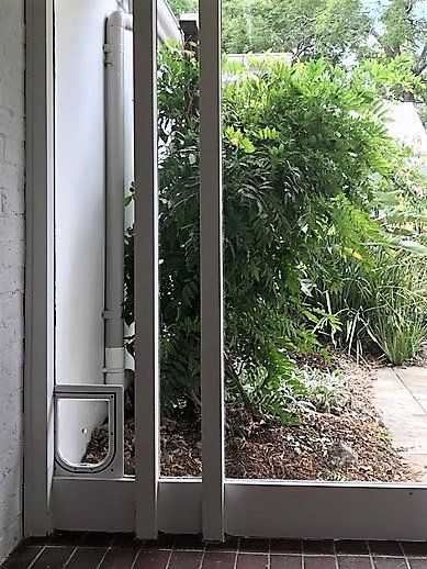 dog door in glass door