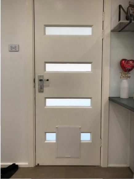 timber door with dog door