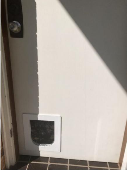 dog door in timber door