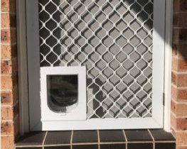 pet door in screen