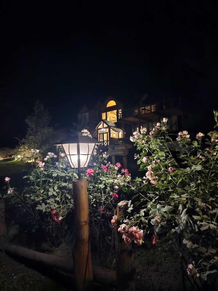 A lantern is lit up in front of a house at night.