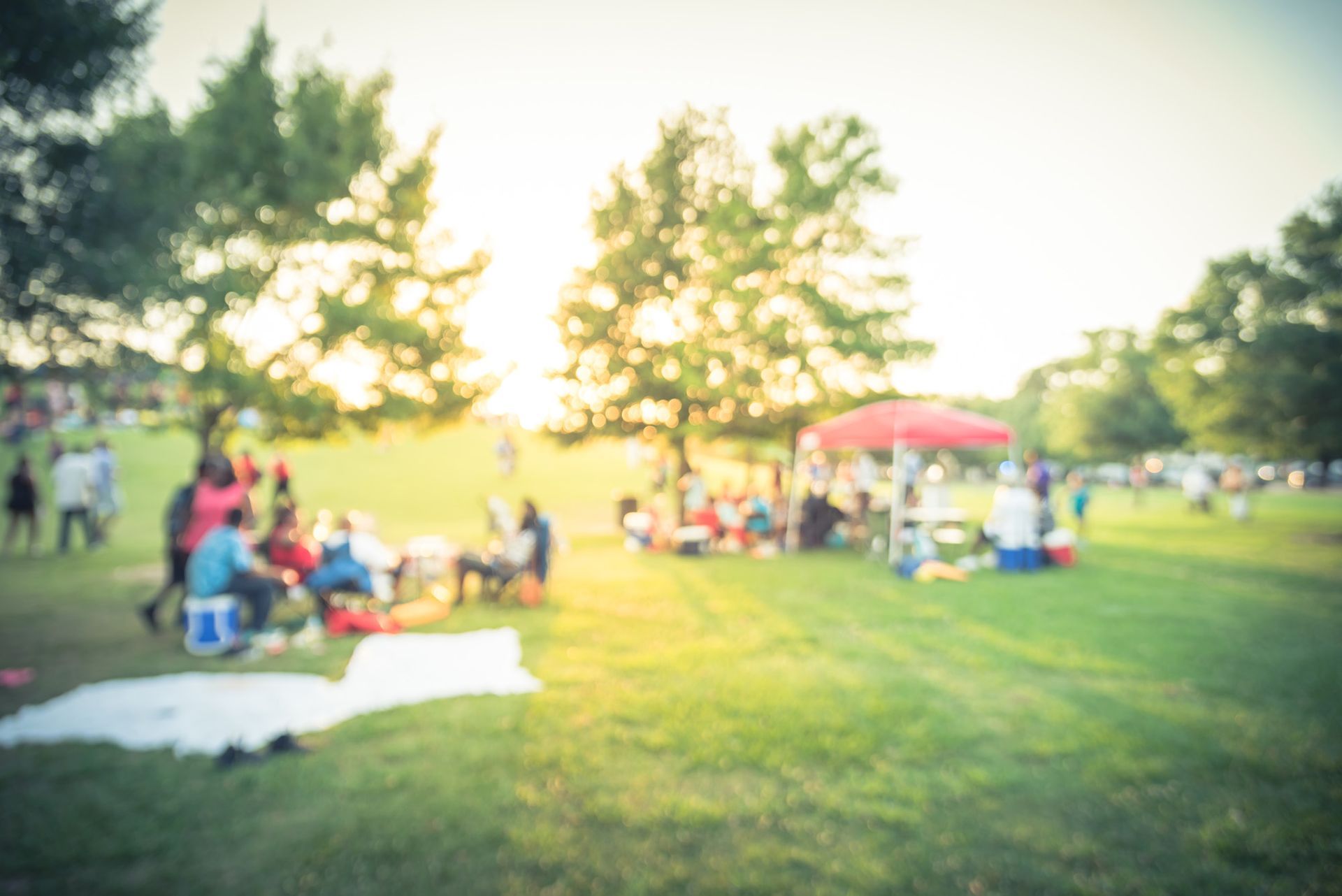 A blurry picture of a group of people having a picnic in a park.