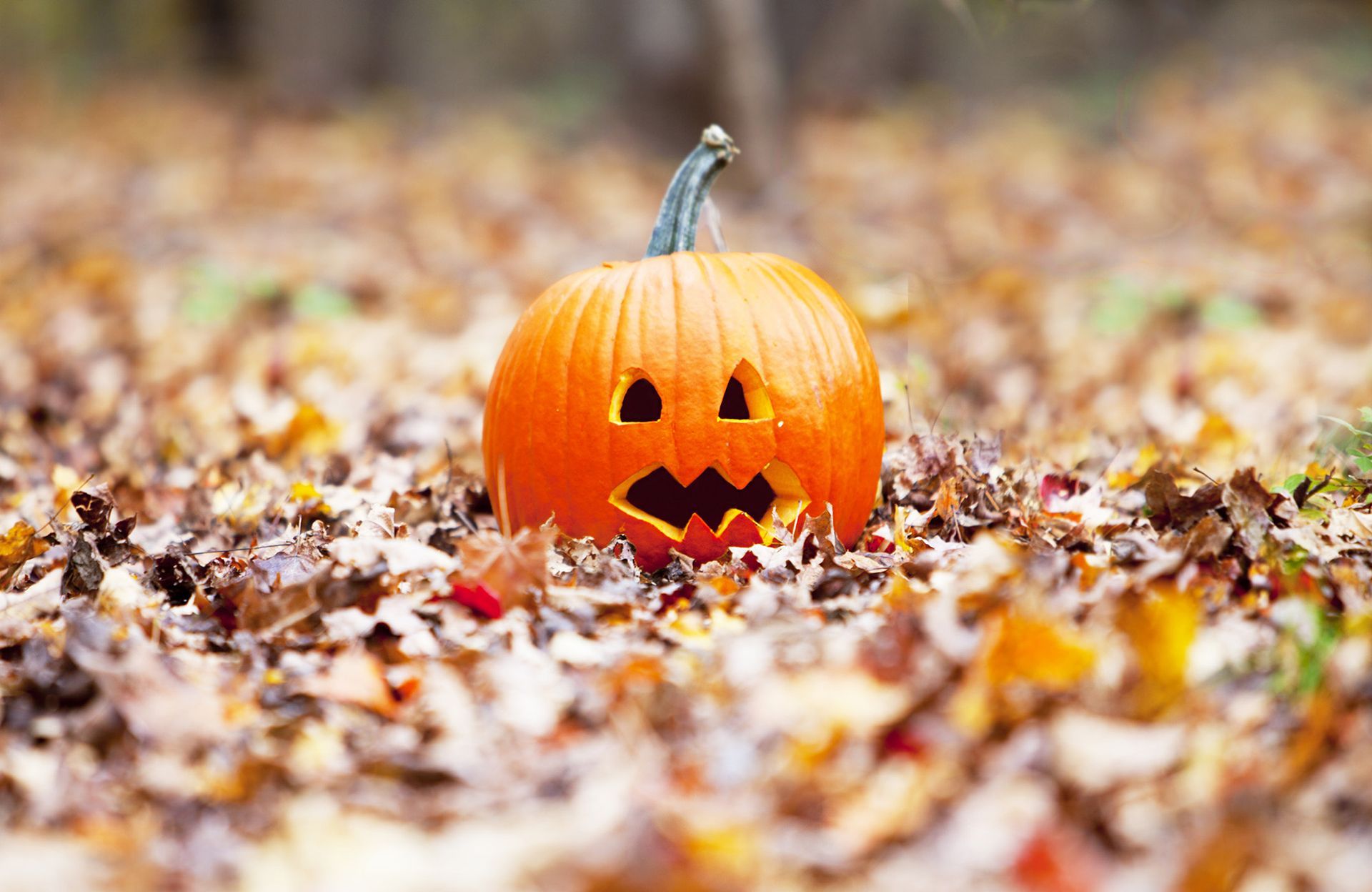 A pumpkin with a face carved into it is sitting in a pile of leaves.