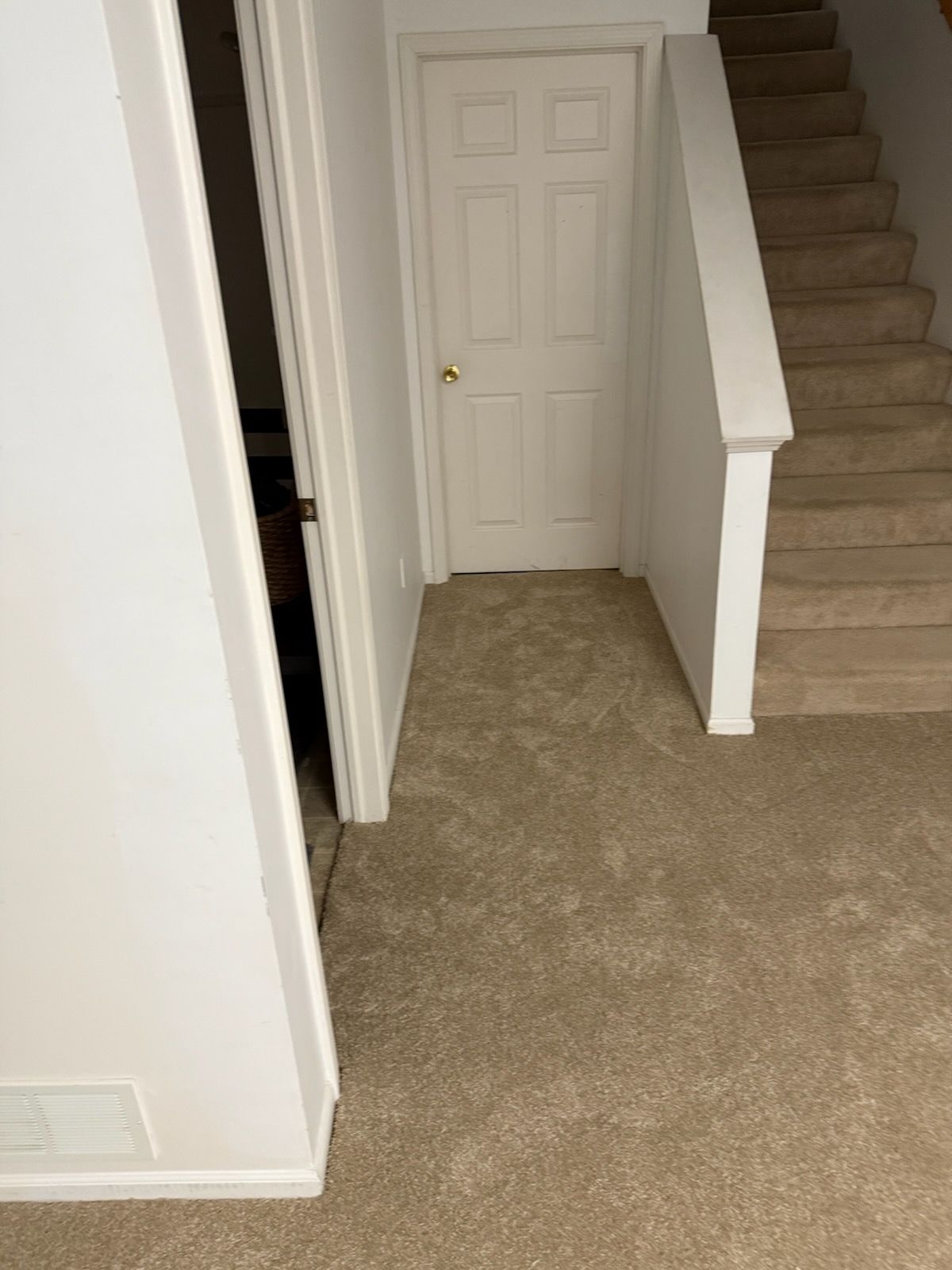 A hallway with a door and stairs in a house.