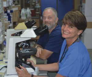 A man and a woman are looking through microscopes in a lab
