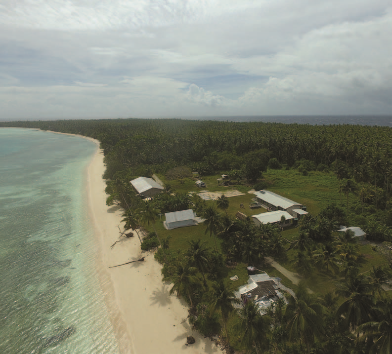 An aerial view of a beach with houses and palm trees