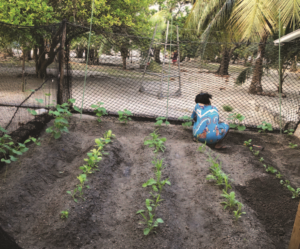 A person is kneeling in the dirt in a garden.