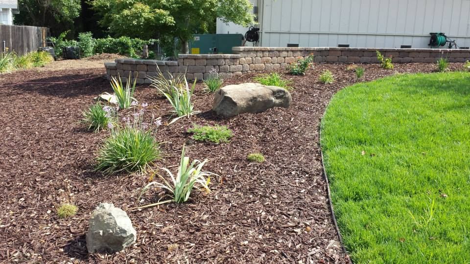 A lush green lawn with a rock in the middle of it.