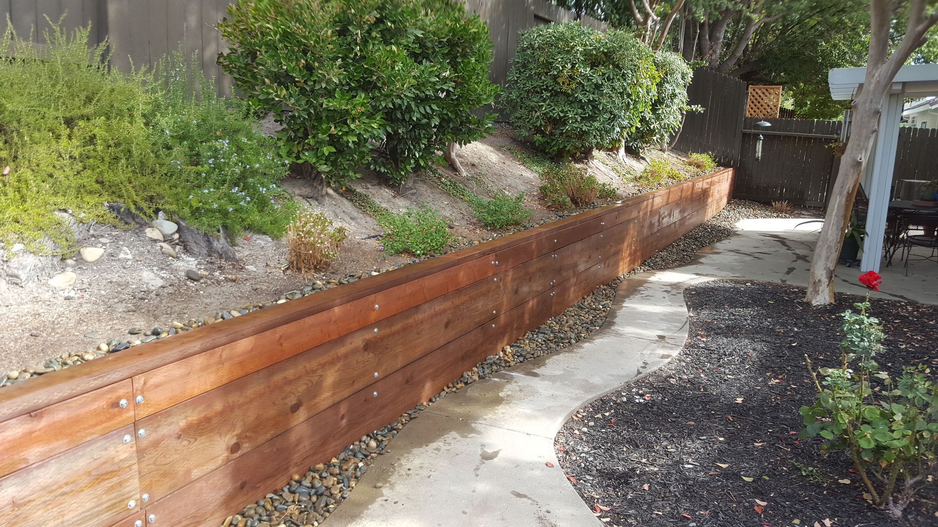 A wooden wall surrounds a concrete walkway in a backyard.