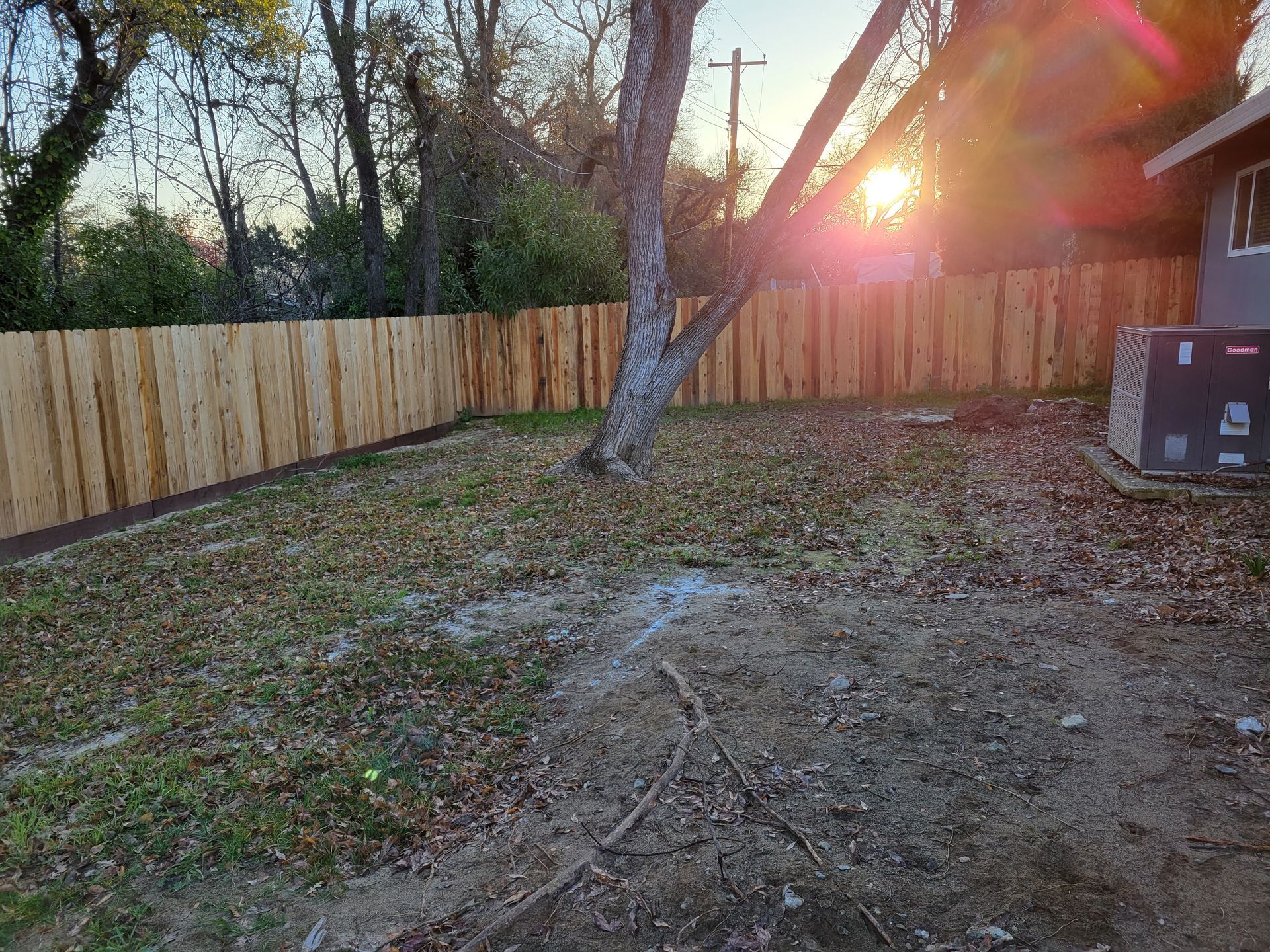 A backyard with a wooden fence and a tree.