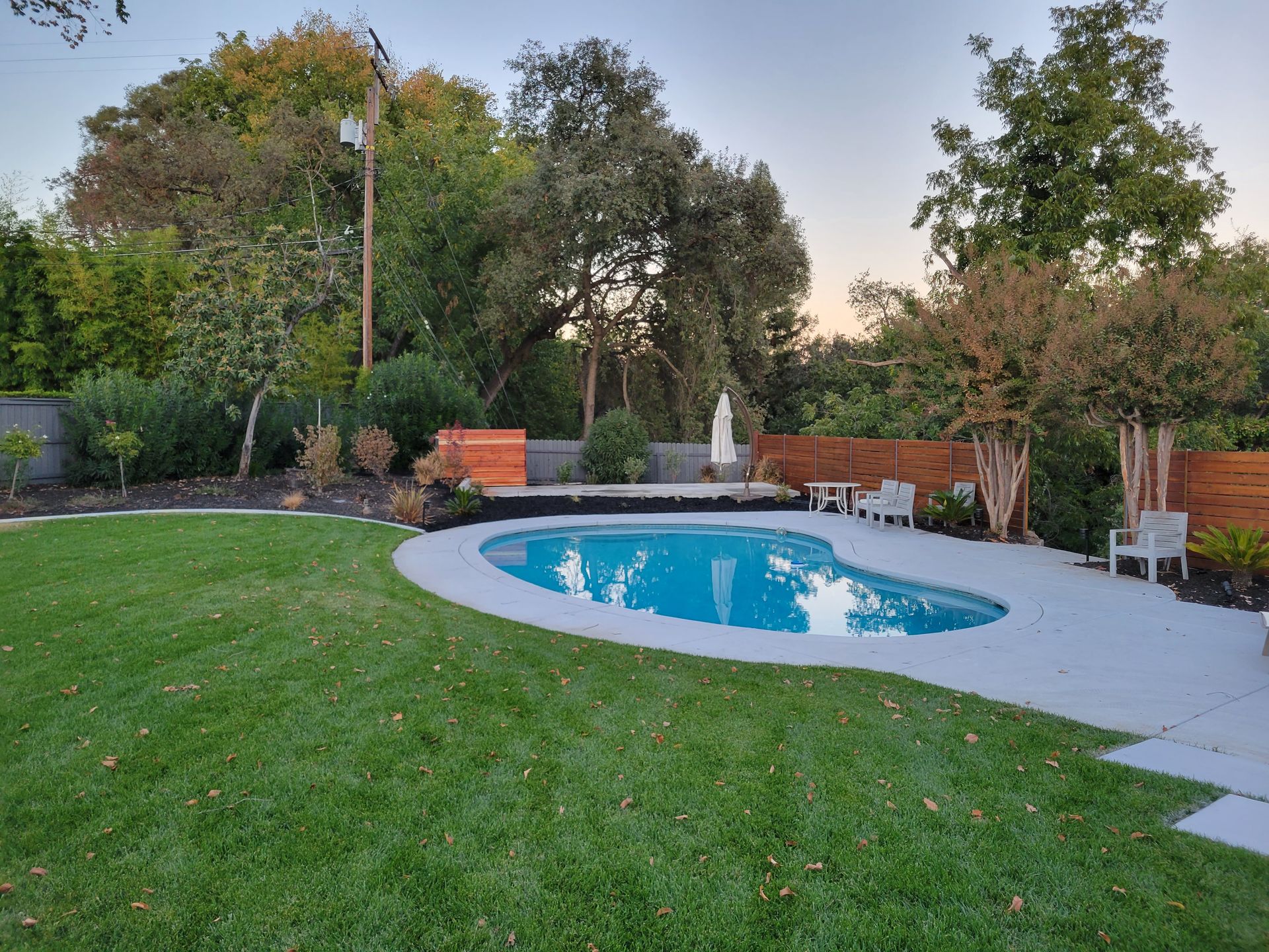 There is a large swimming pool in the middle of a lush green yard.