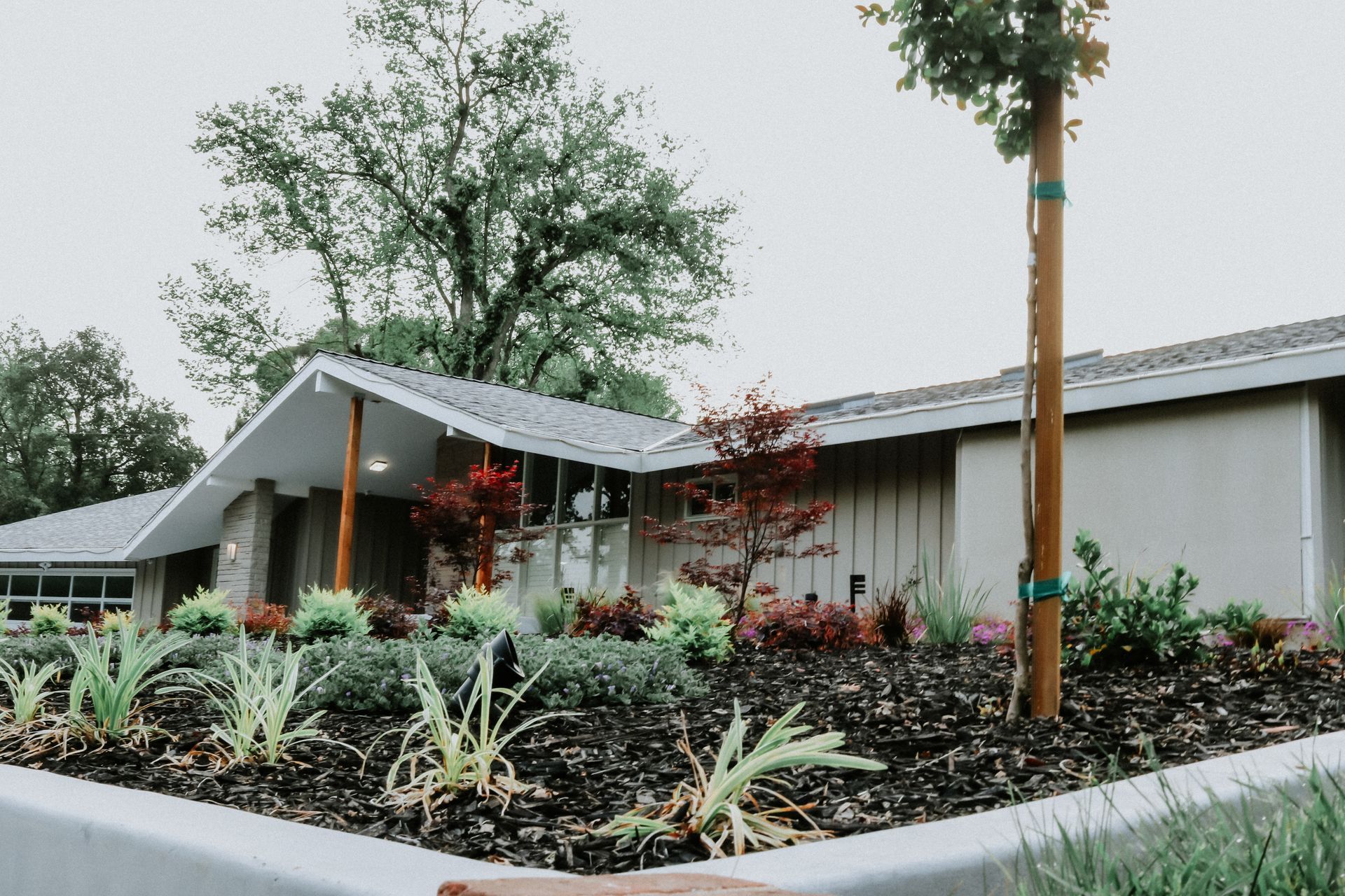 A house with a lot of plants in front of it