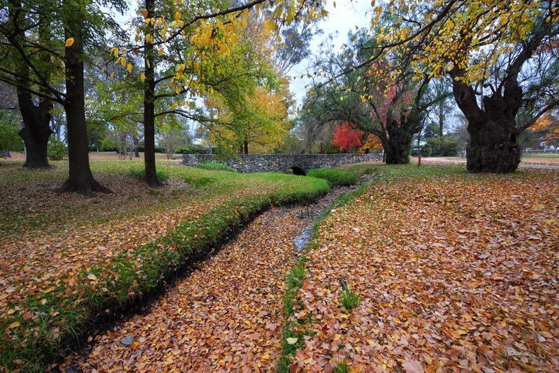 A Stream In A Park Surrounded By Trees And Leaves — Firewerx In Mudgee, NSW