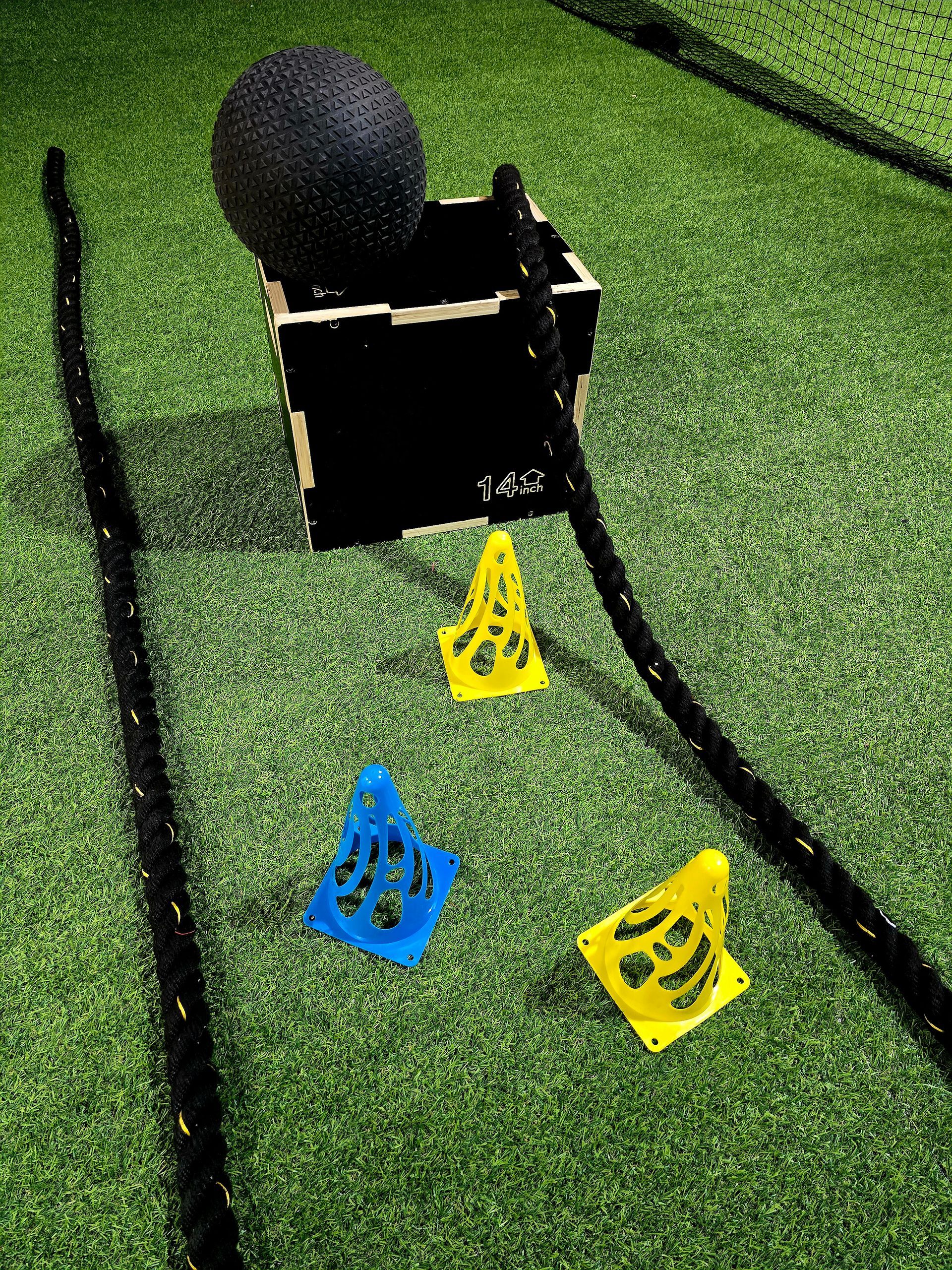 A ball is sitting in a box on top of a lush green field.