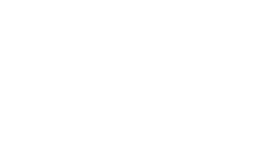 VDBW Logo
